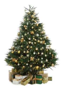 Cheap Christmas Tree World 2000 Multi Function Led Cluster Lights - Bright White